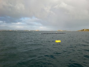 Instalacion cultivo algas marinas