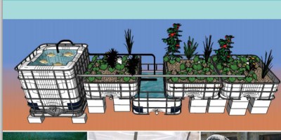 Manual de aquaponia a pequeña escala