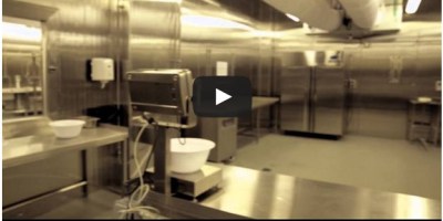 Granja de esturiones en Abu Dhabi