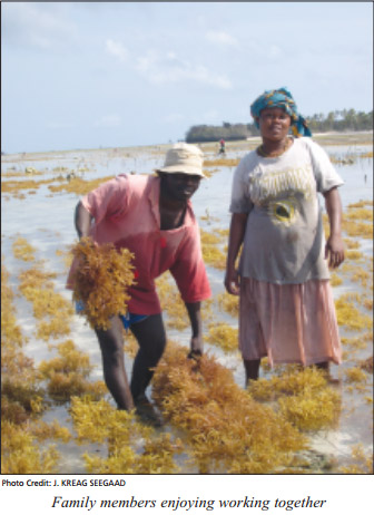 cultivo de algas en Tanzania