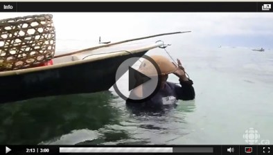 Cultivo de algas en Indonesia