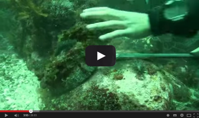 La pesca ilegal de la oreja de mar en Africa