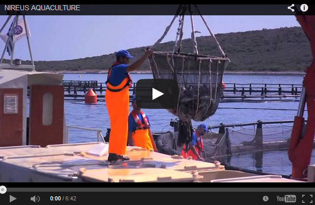 piscicultura marina offshore, empresa lider