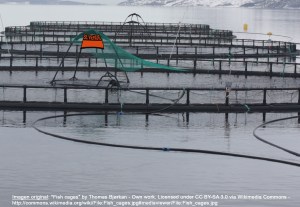 jaulas de acuicultura de peces offshore