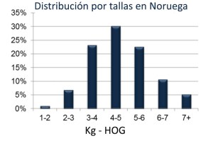 Gráfica con la distribución del salmón comercializado en Noruega según talla