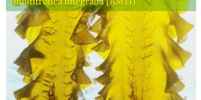 Laminariales en acuicultura multitrófica integrada IMA