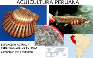 Acuicultura en perú, situación actual y perspectivas de futuro