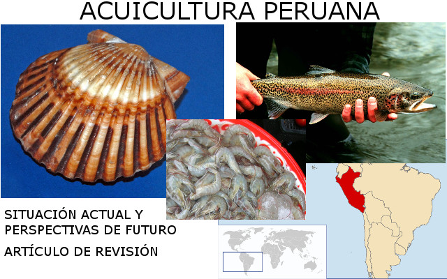 Acuicultura en perú, situación actual y perspectivas de futuro
