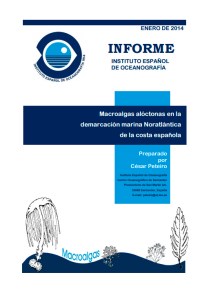 macroalgas-aloctonas-espana-norte