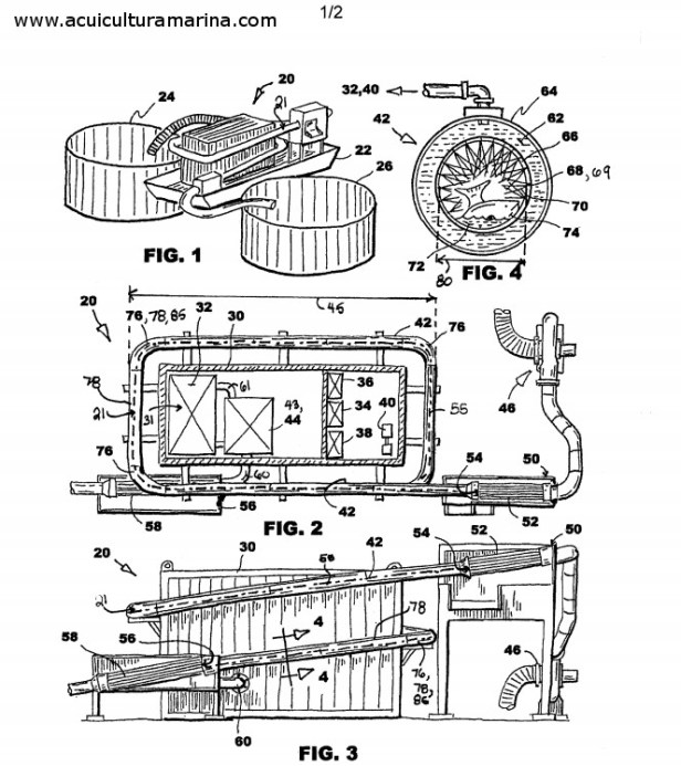 maquina desparasitadora salmon