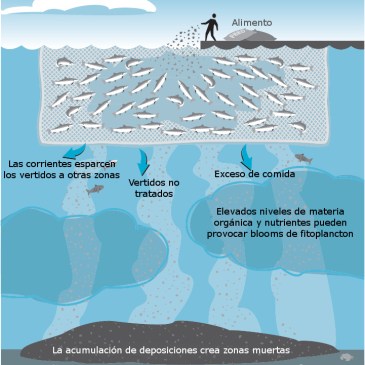 impacto-ambiental-jaulas-de-peces-acuicultura