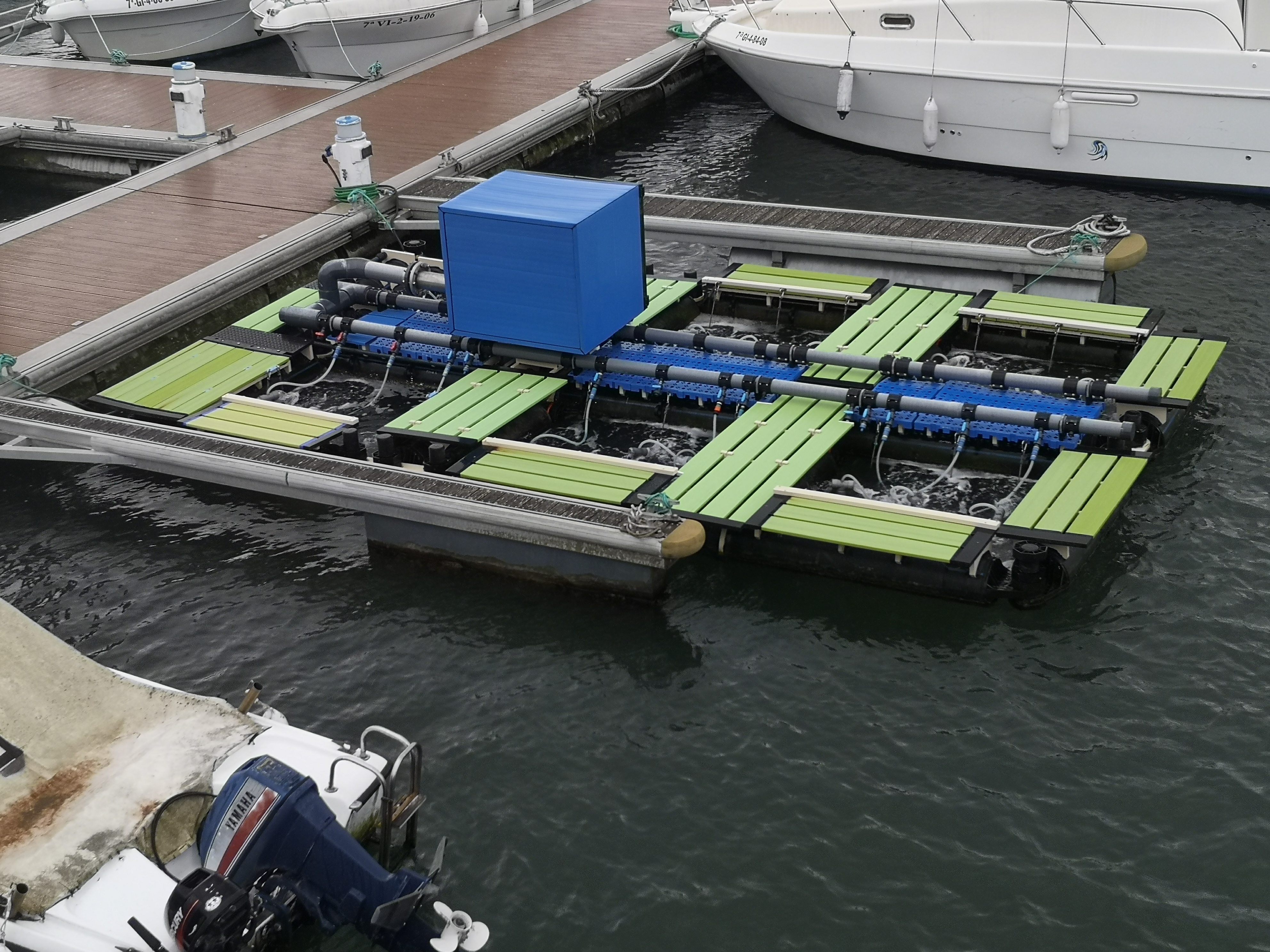 Jaula flotante para acuicultura de moluscos bivalvos