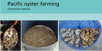 imagen de una portada